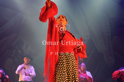 FLAMENCO GALA ADULTA 15.06.2025