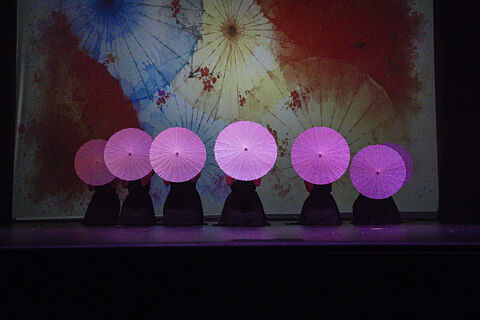 GALA   EVOLUCION BALLET 