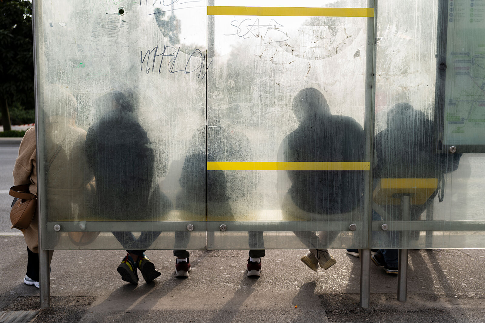 Manu Sáez Campillos - _msc1941-ts20251028163824706944.jpg