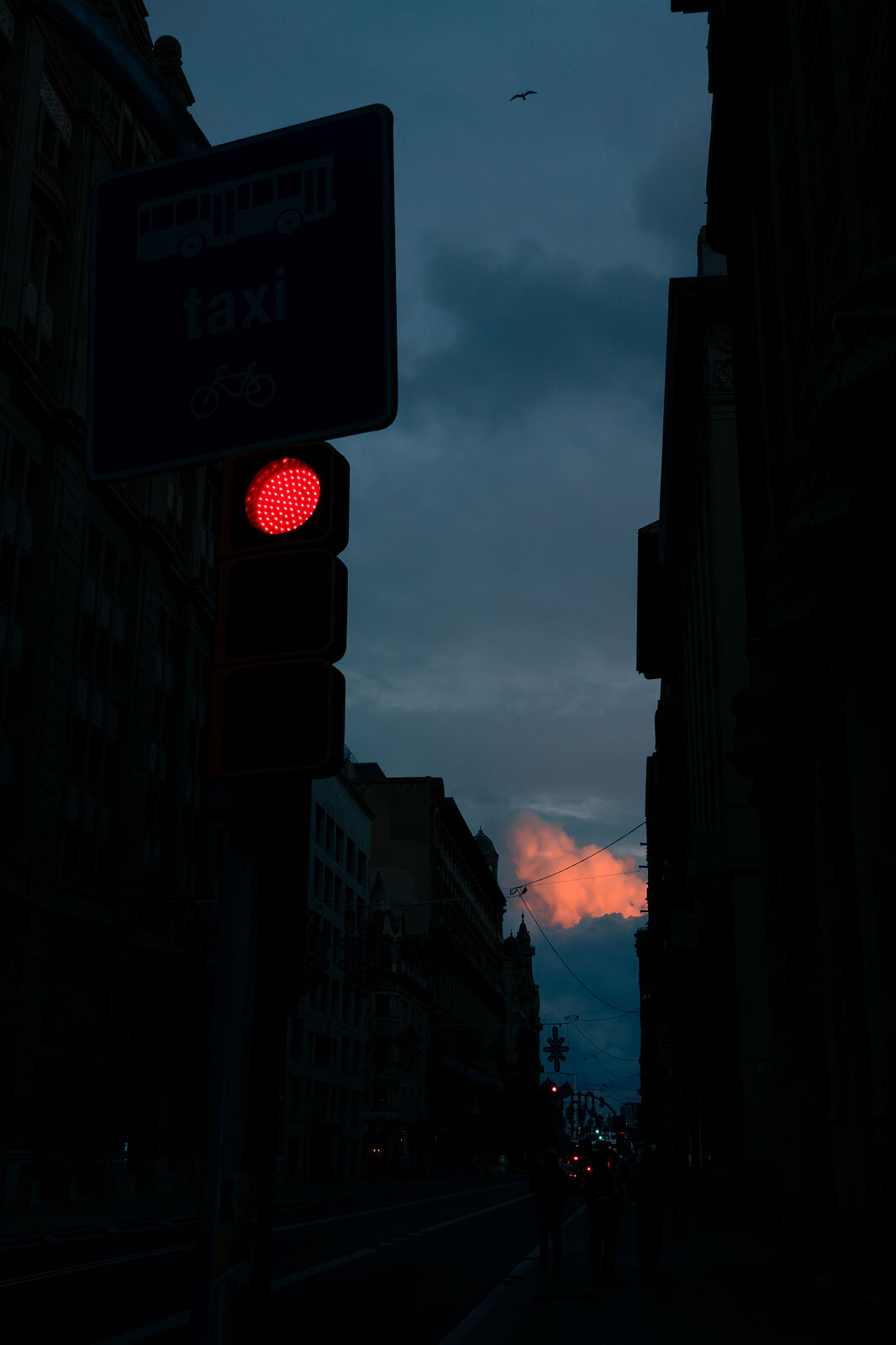 Manu Sáez Campillos - _msc4940-ts20251127080919438377.jpg