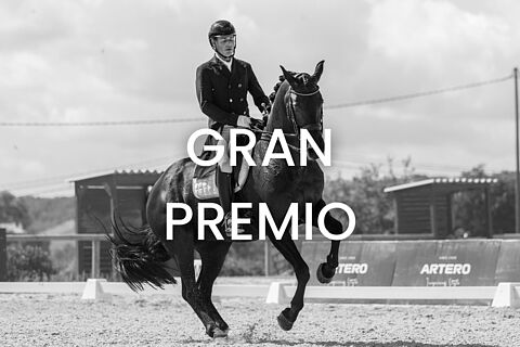 Gran Premio