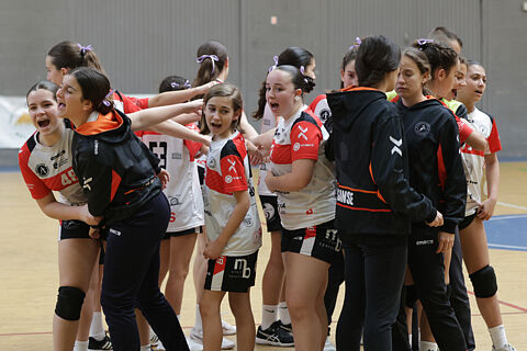 1IF Alcobendas Sanse