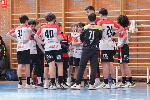 2IM Alcobendas Sanse