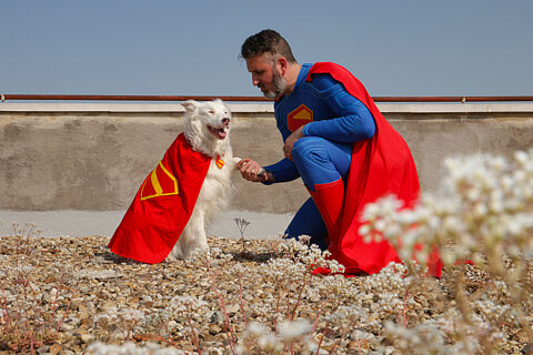 Superman & Krypto