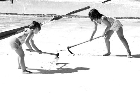 Jornada de la Sal en Salinas de Medinaceli