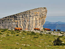 114_S.SALVADA__DSC0043