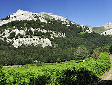 217_GORBEIA_P.N.GORBEIA._20100720_0053