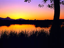 372_RIOJA_VIÑEDOS RIOJA_LAGUNA PRADO LAGUARDIA.