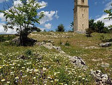 476_OCHATE-TREVIÑO_20160529_040