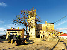 504_TREVIÑO_SAN FORMERIO_03