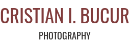 Cristian I. Bucur