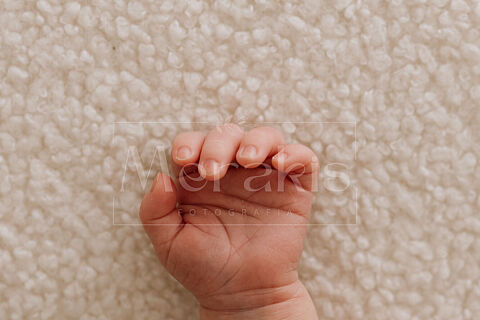 ESTHER FERRO NEWBORN