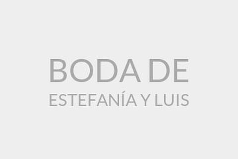 BODA DE ESTEFANÍA Y LUIS