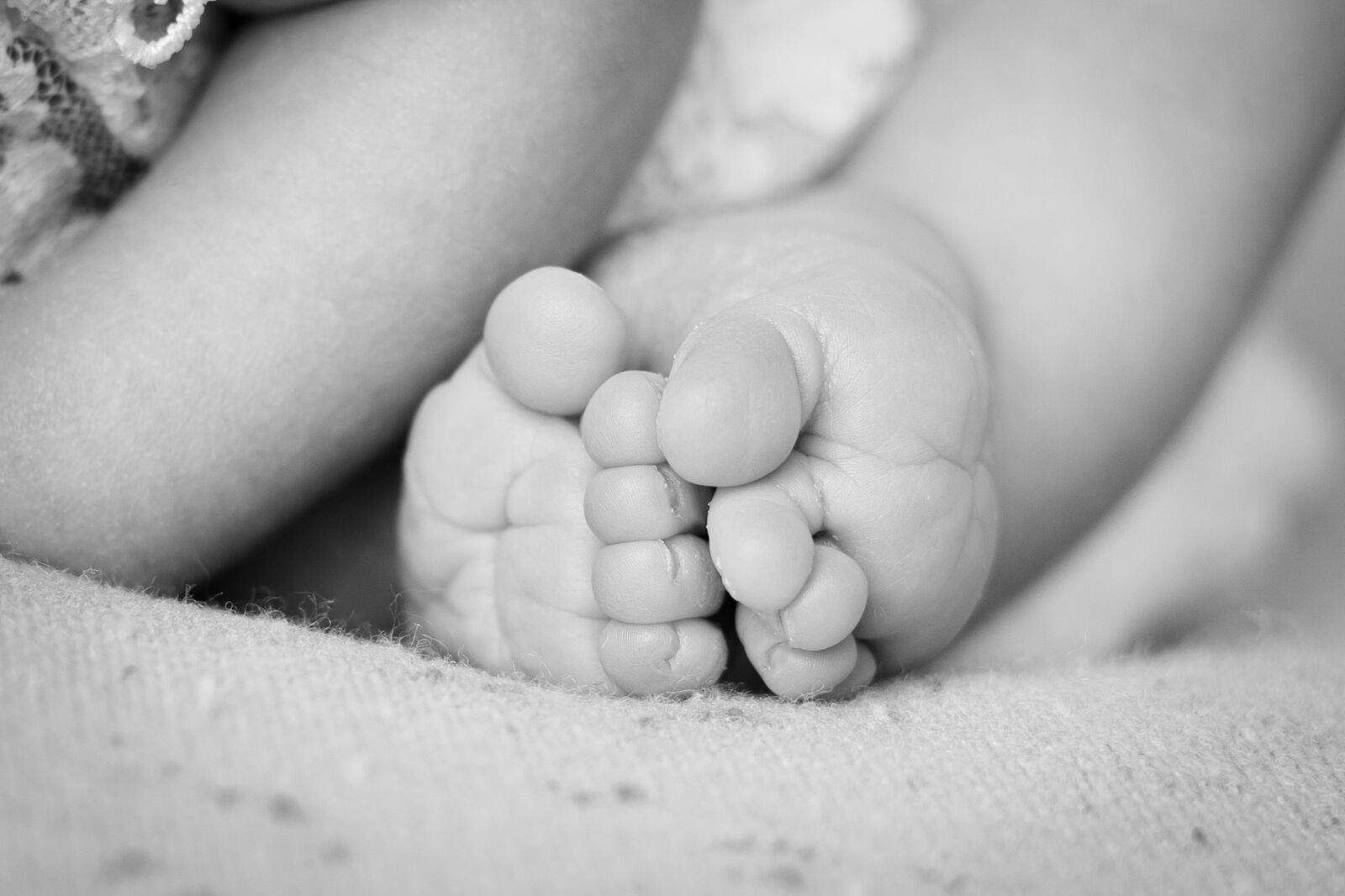 Esther Aguilera Fotografía - fotografia-de-recien-nacido-ts20260225103903429403.jpg