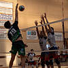 Pallavolo