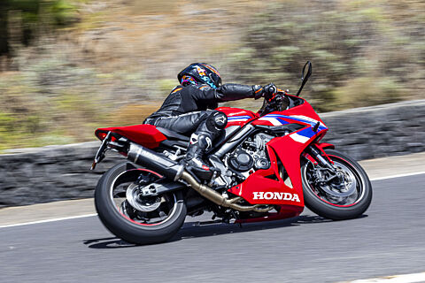 Los Loros 23/08/2025