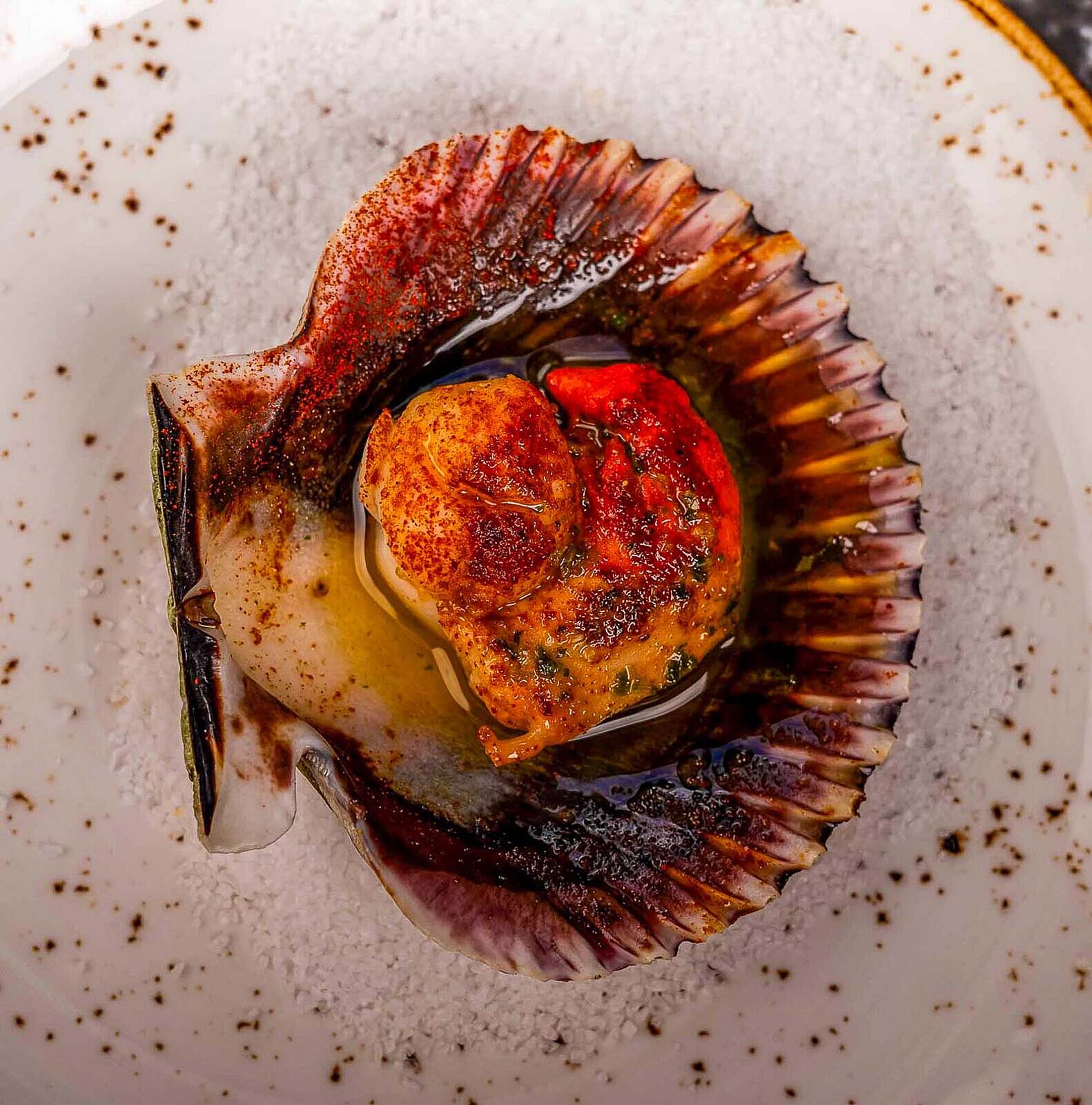 odinfoto - _a740133-ts20251104165736556651.jpg