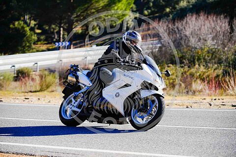  Cebreros 02/02/25  parte 1(de 10:30 hasta 12:00)