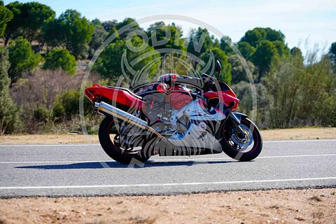 Cebreros 09/02/25  parte 3(de 12:00 hasta 13:00)