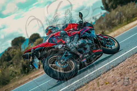 Cebreros 10/05/25 (de 9:00 hasta 13:30)