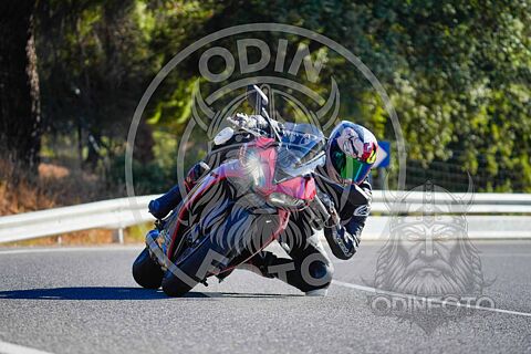 Copy of Copy of Copy of Copy of Copy of