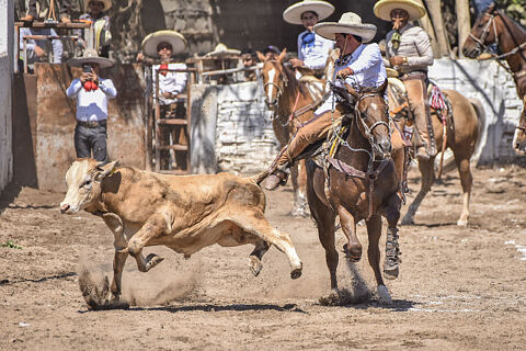 Campeonato Charro XXII Aniversario Rancho la Noria MGC