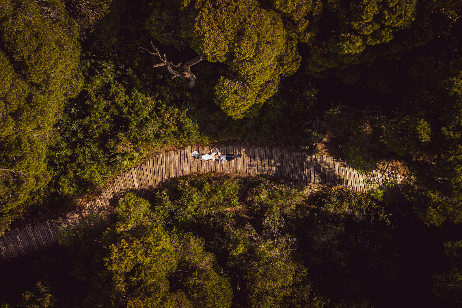 Javier Poveda: Fotografía y Vídeo. Bodas y Familias - 97_foto-de-boda_valencia-ts20251214200318532861.jpg