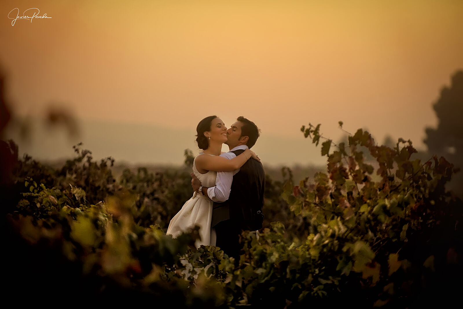 Javier Poveda: Fotografía y Vídeo. Bodas y Familias - _dsc0598-editarlight-ts20251024085256385546.jpg
