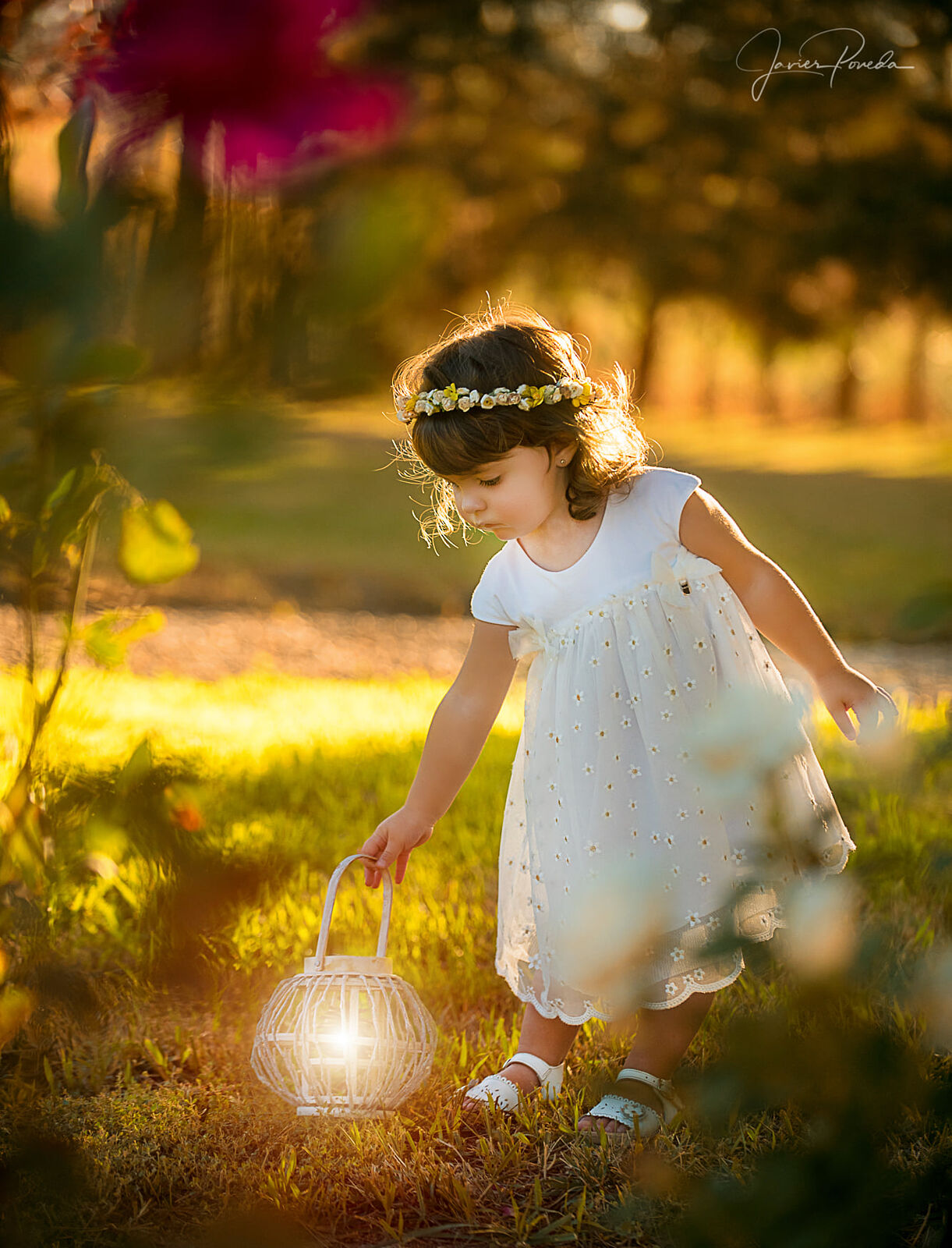 Javier Poveda: Fotografía y Vídeo. Bodas y Familias - 118922341_1395010407373925_6051714153824124811_n-ts20251029125306758448.jpg