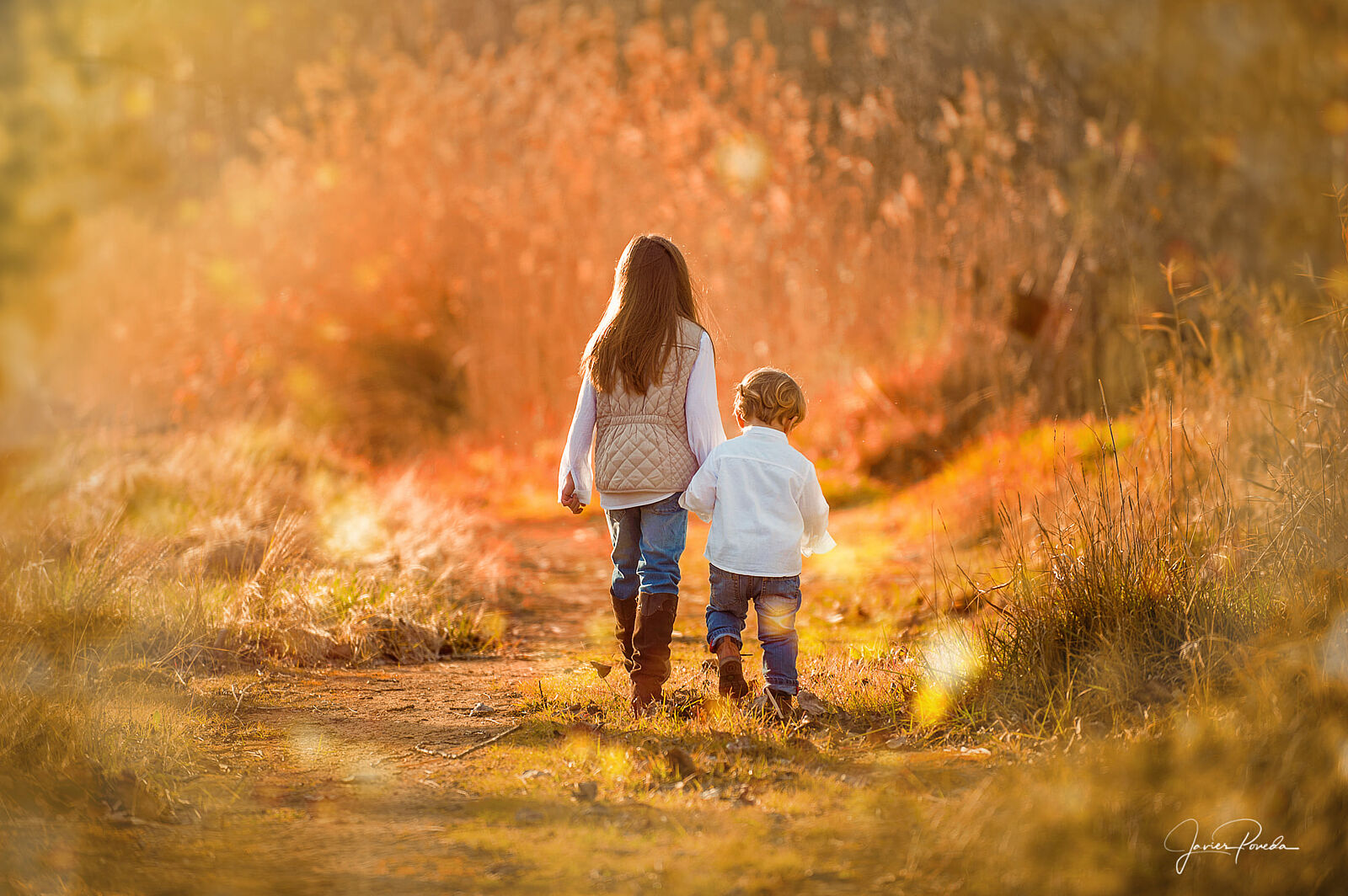Javier Poveda: Fotografía y Vídeo. Bodas y Familias - 120031263_1408806379327661_5389041850249292797_n-ts20251029125332472484.jpg