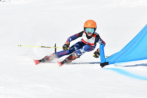 Skicross Pettorali 51-100