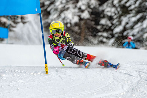 Cuccioli prima Petttorali 49-99