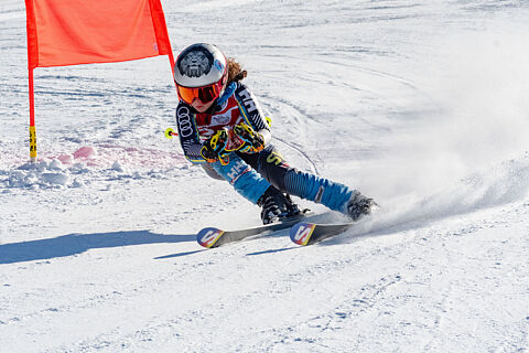 Baby Maschi Pettorali 254-293