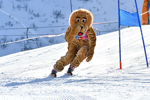 Montecampione 21-02-26 Sci Club Rongai