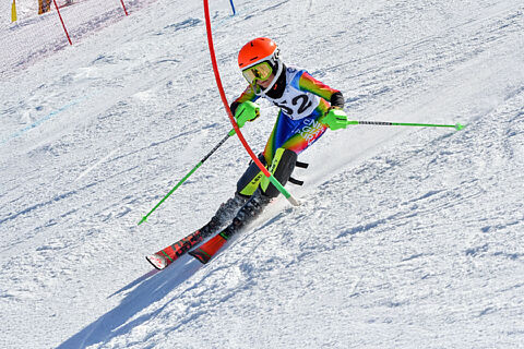 Montecampione 22-02-2026 SL Baby e Cuccioli FISI BS