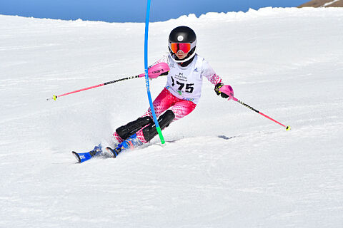 Pettorali 201-245