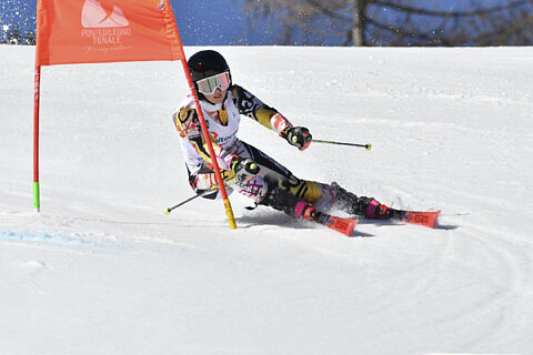 Allieve Pettorali 1-40