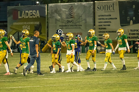 16 avs