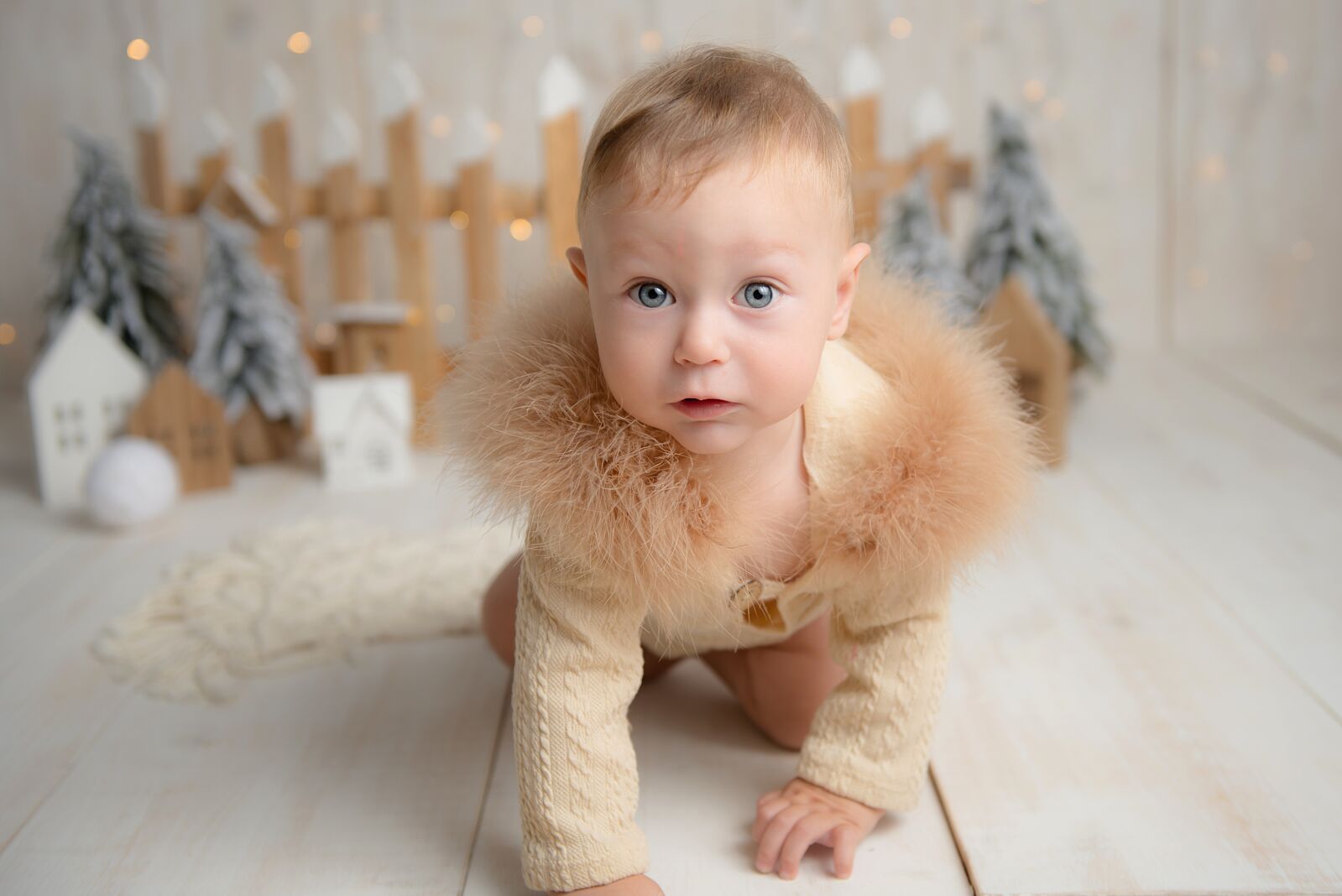 Dulce Mirada Fotografía - ggf_232310-ts20250727142825813858.jpeg