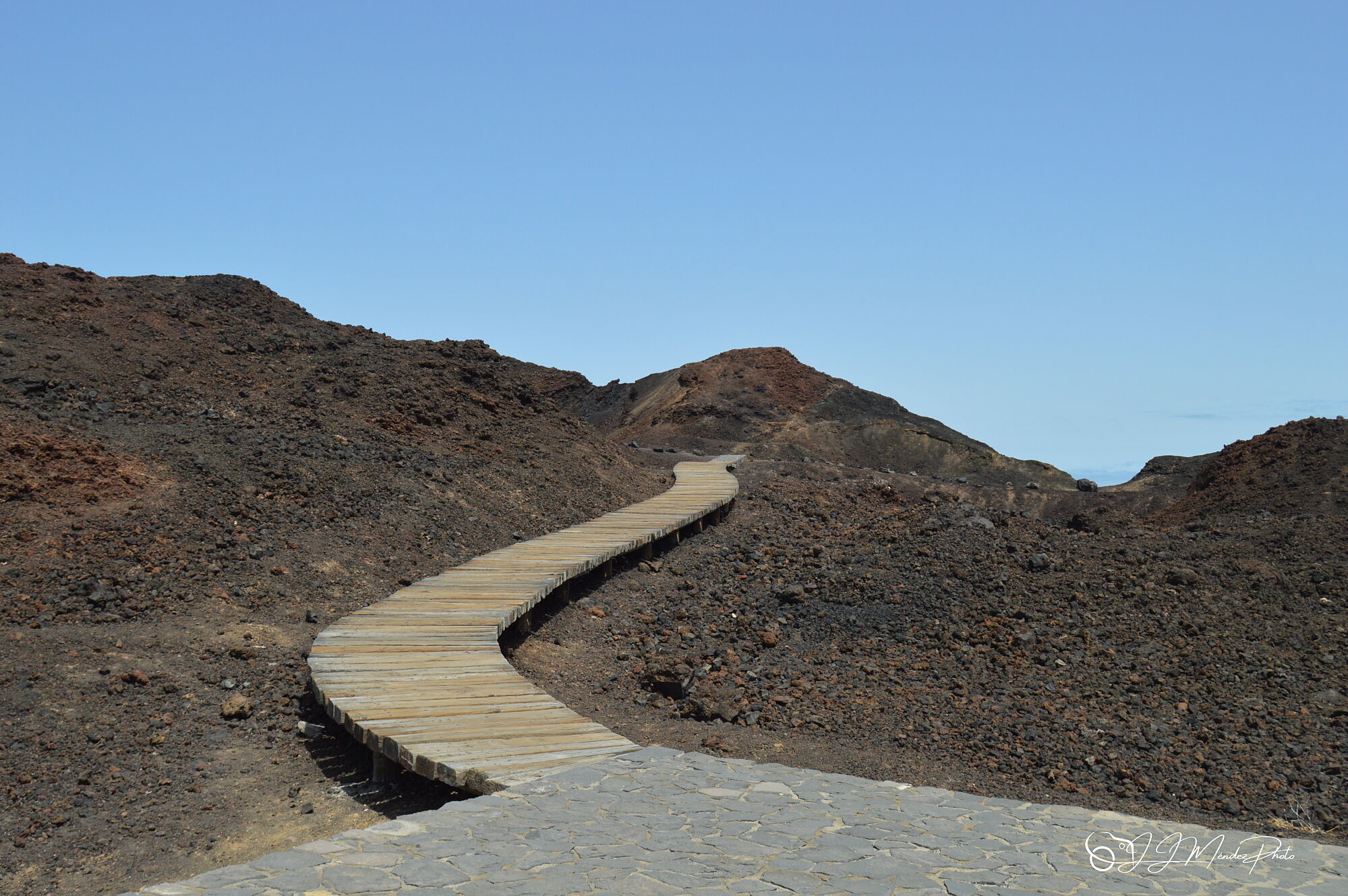 DSC_0795 - copia - copia