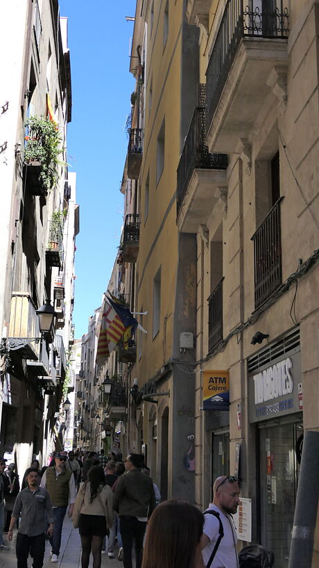 P1310257 - copia