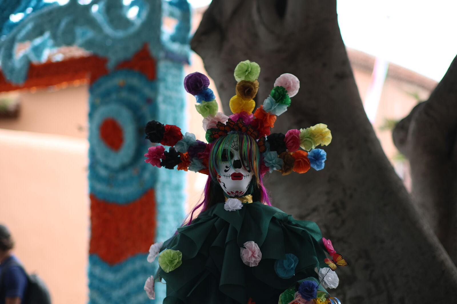 JJMéndezphoto - 7i1a6103-ts20260104181328730997.jpg