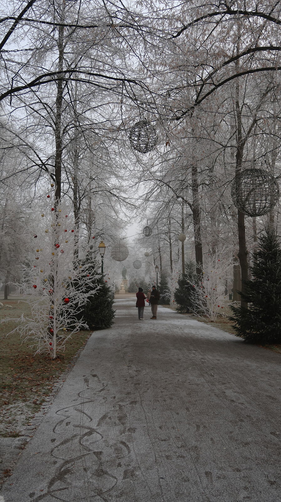 JJMéndezphoto - 7i1a6483-copia-2-ts20260103191057157662.jpg