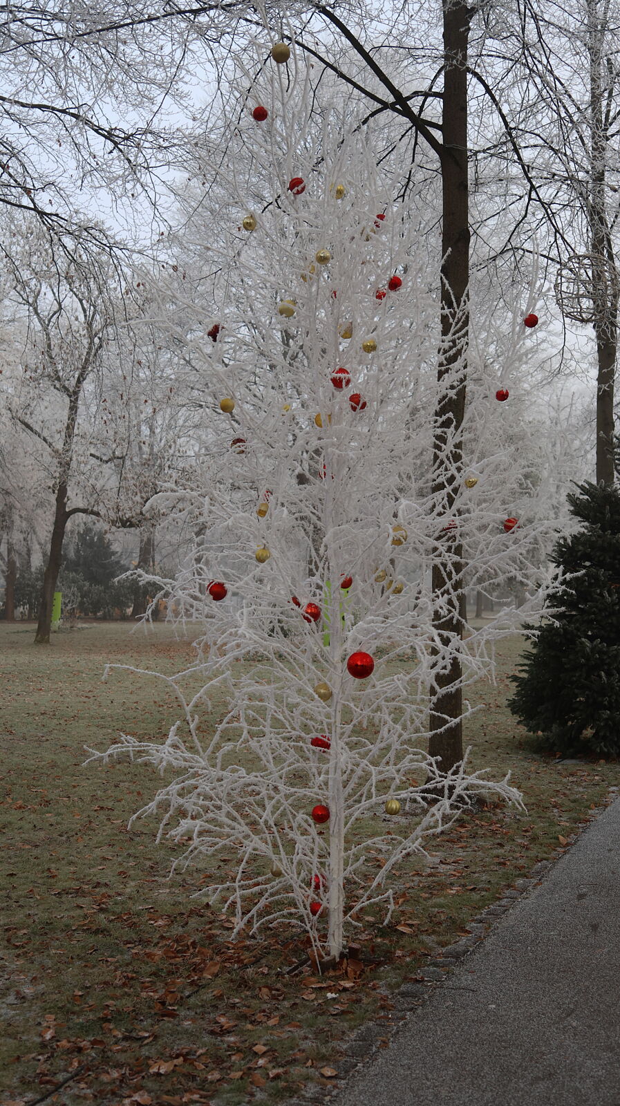 JJMéndezphoto - 7i1a6486-copia-copia-copia-2-ts20260103191048222940.jpg