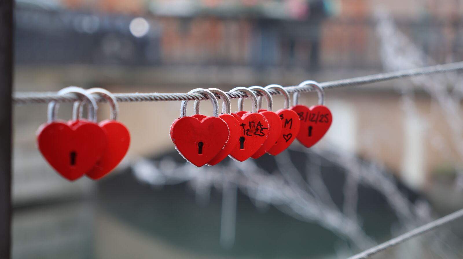 JJMéndezphoto - 7i1a6551-ts20260103190610937788.jpg