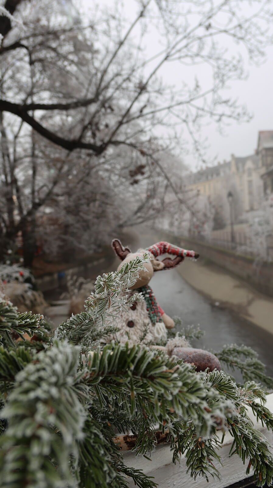 JJMéndezphoto - 7i1a6560-copia-ts20260103190441548377.jpg