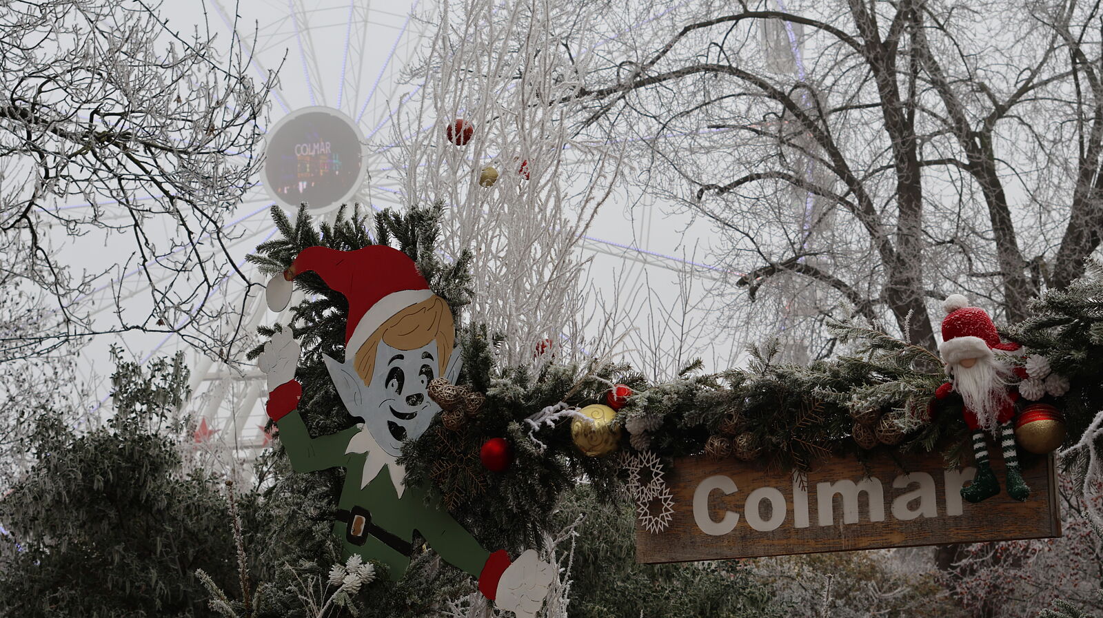 JJMéndezphoto - 7i1a6566-ts20260103190529252692.jpg