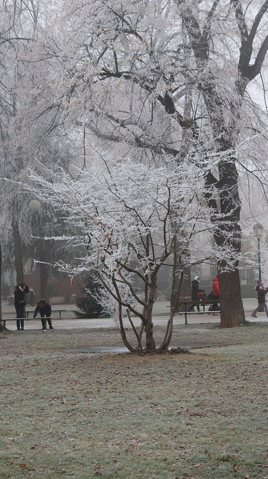 JJMéndezphoto - 7i1a6574-copia-copia-ts20260103191133559527.jpg