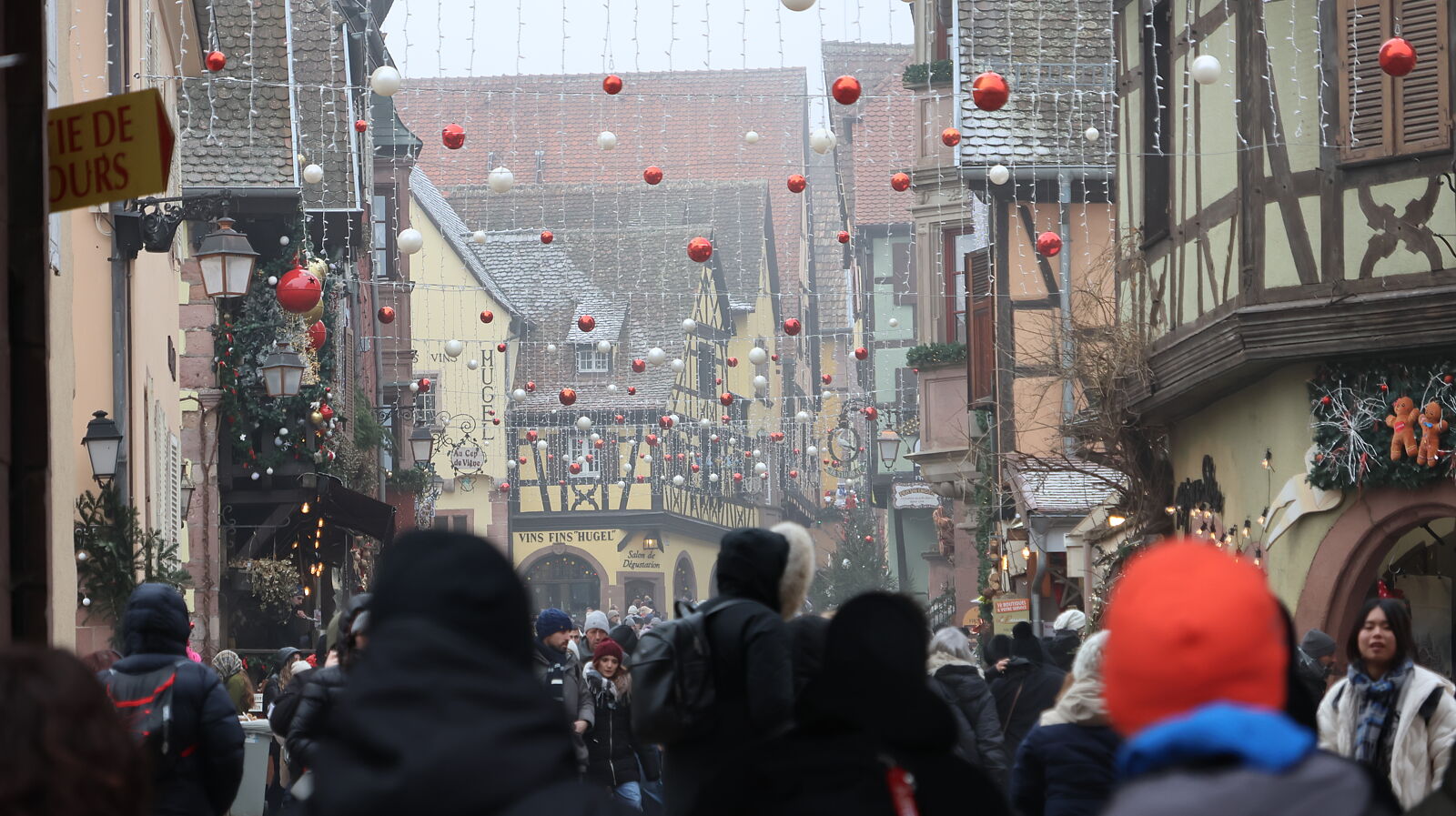 JJMéndezphoto - 7i1a6590-ts20260103190626802965.jpg