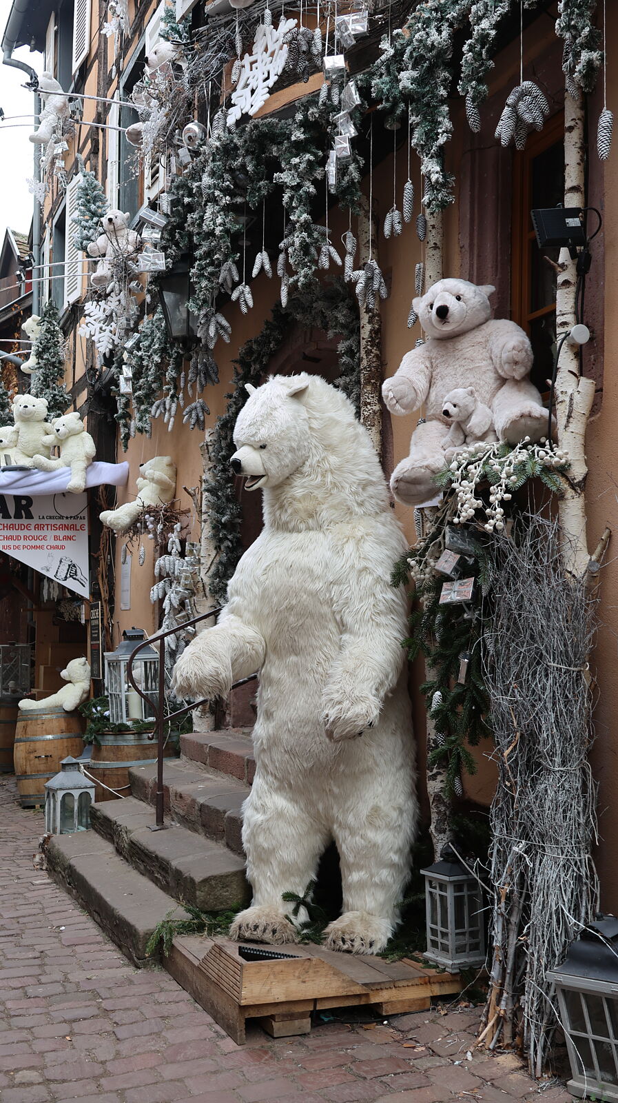 JJMéndezphoto - 7i1a6596-copia-copia-ts20260103190429809561.jpg